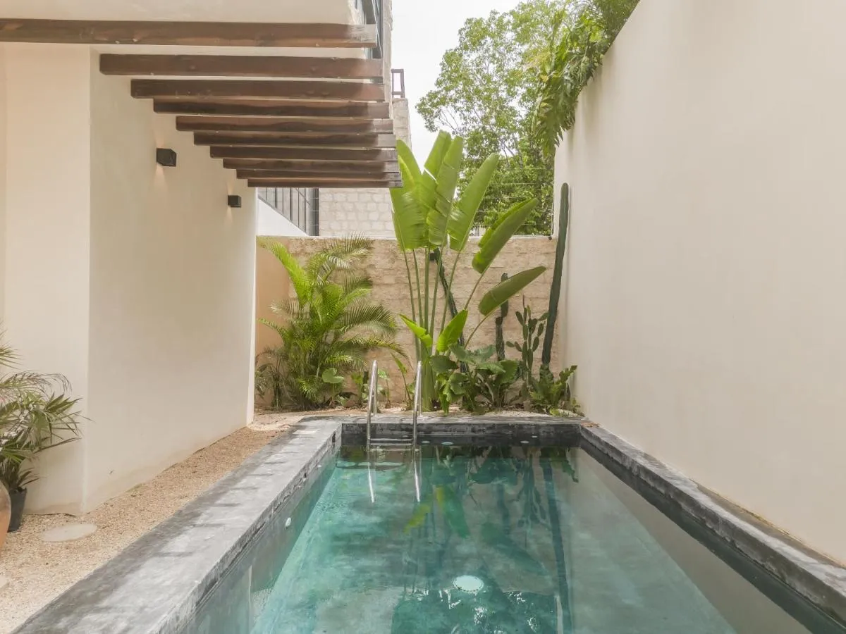 Image 6 of New Aura Jungle Getaway