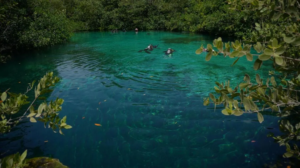 Image 1 of New modern apartment 1BDR – Beach access