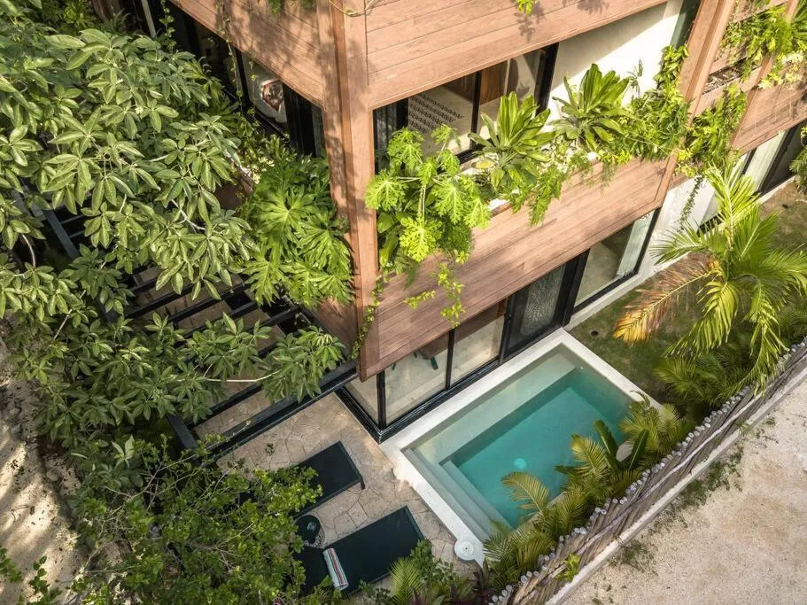 Image of Nuuch, Luum Zama, Tulum