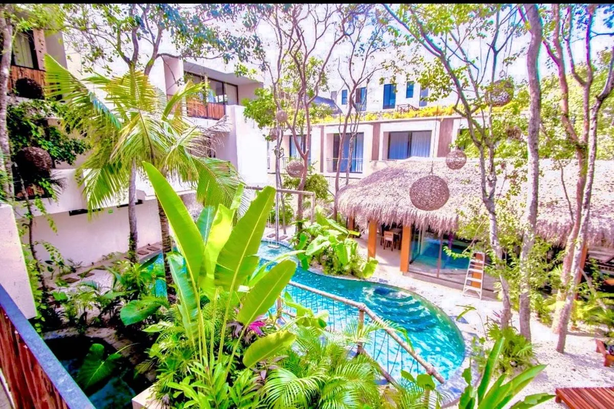 Image 6 of Penthouse Maxia Serenidad y Comfort