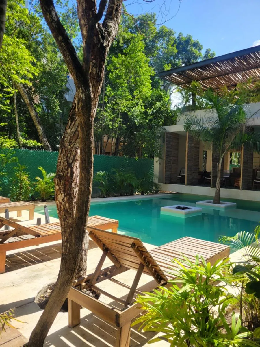 Image 2 of Reflective jungle treehouse with plunge pool