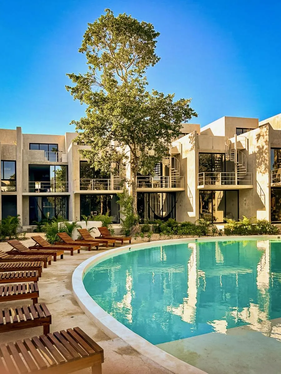 Image 3 of Selva Studios by Casago