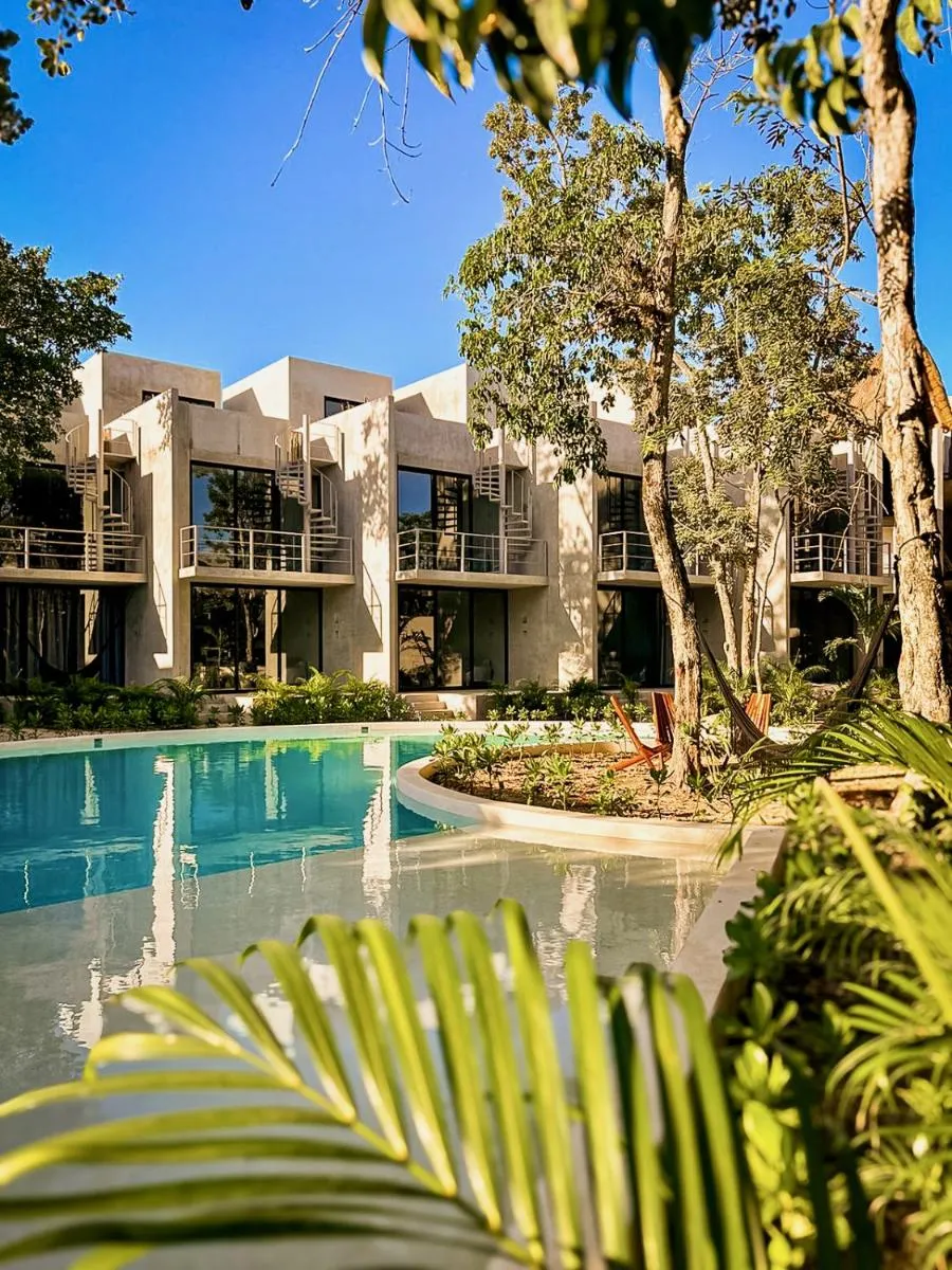 Image 4 of Selva Studios by Casago