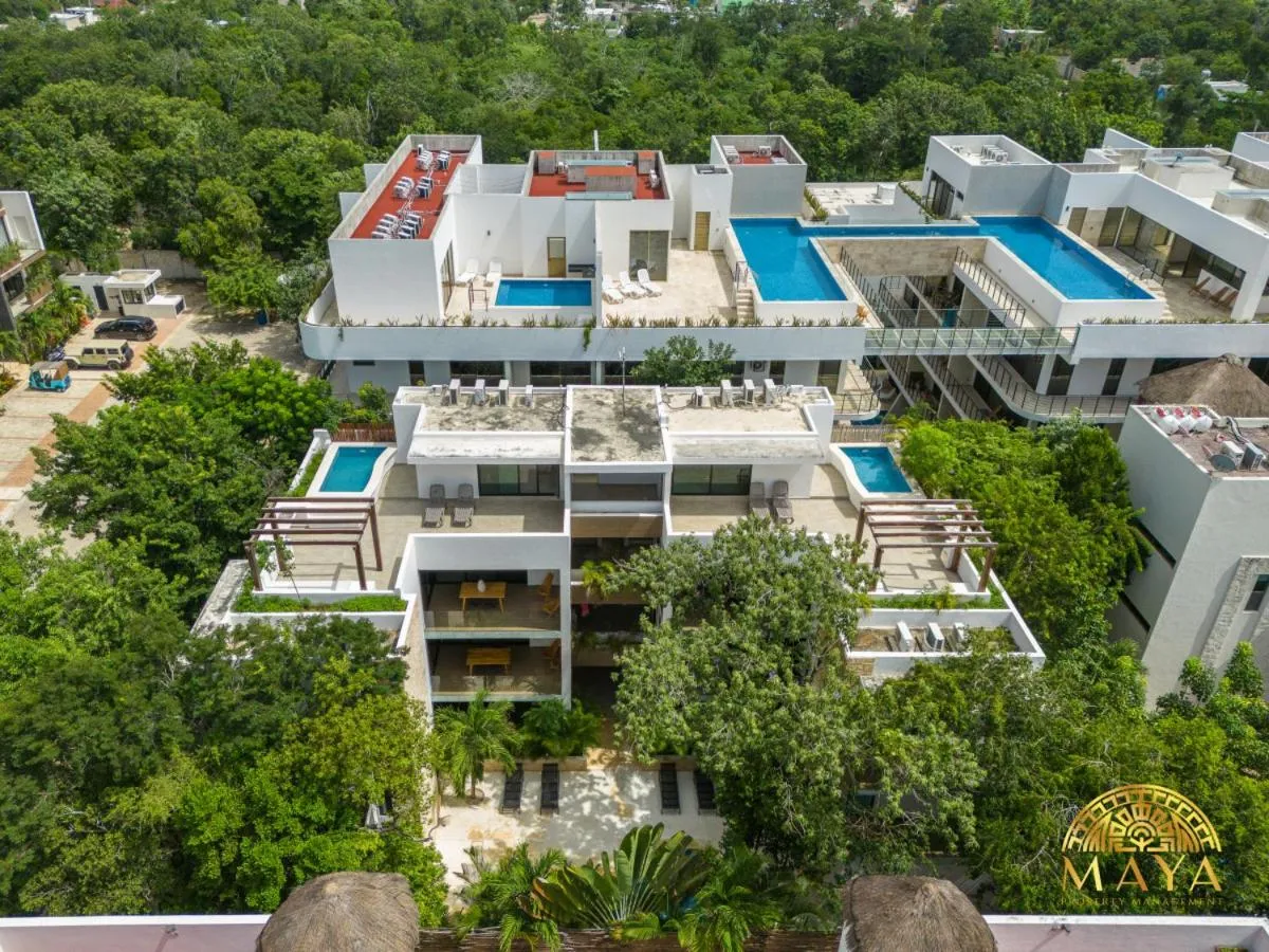 Image 3 of Selvaterra 301 Lux 2BR Large Condo in Aldea Zama