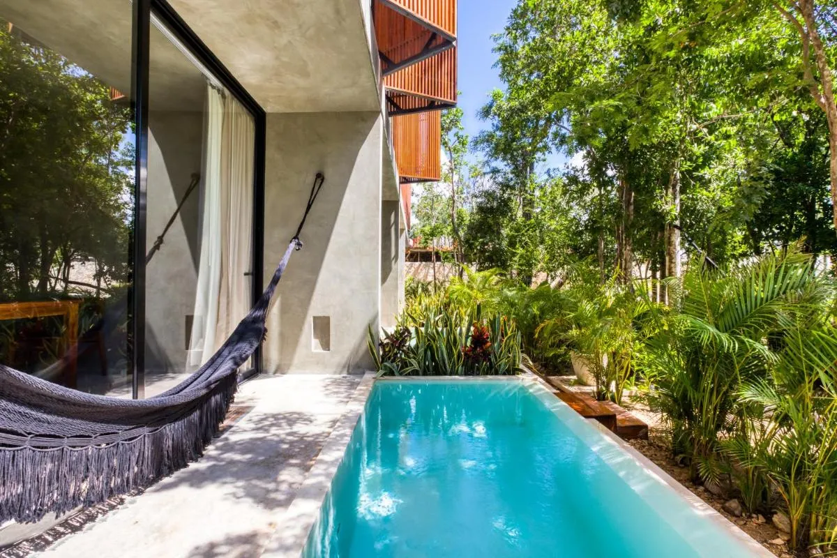 Image 3 of Seremonia Origen