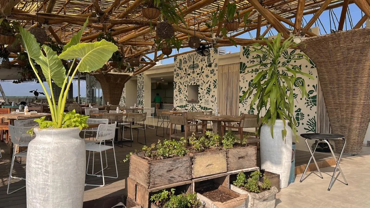 Image 6 of Siente Tulum