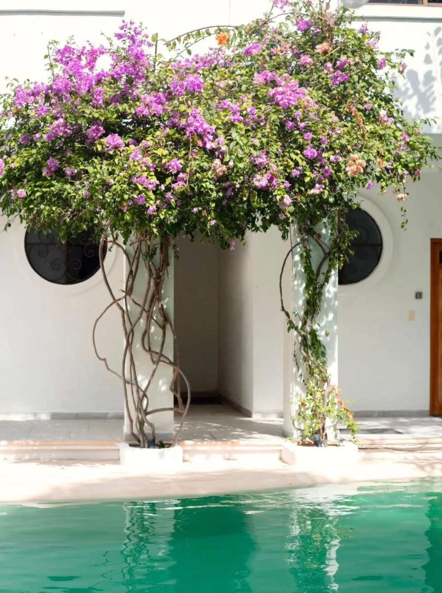 Image 3 of Sonido del mar Hotel Boutique & Yoga Loft