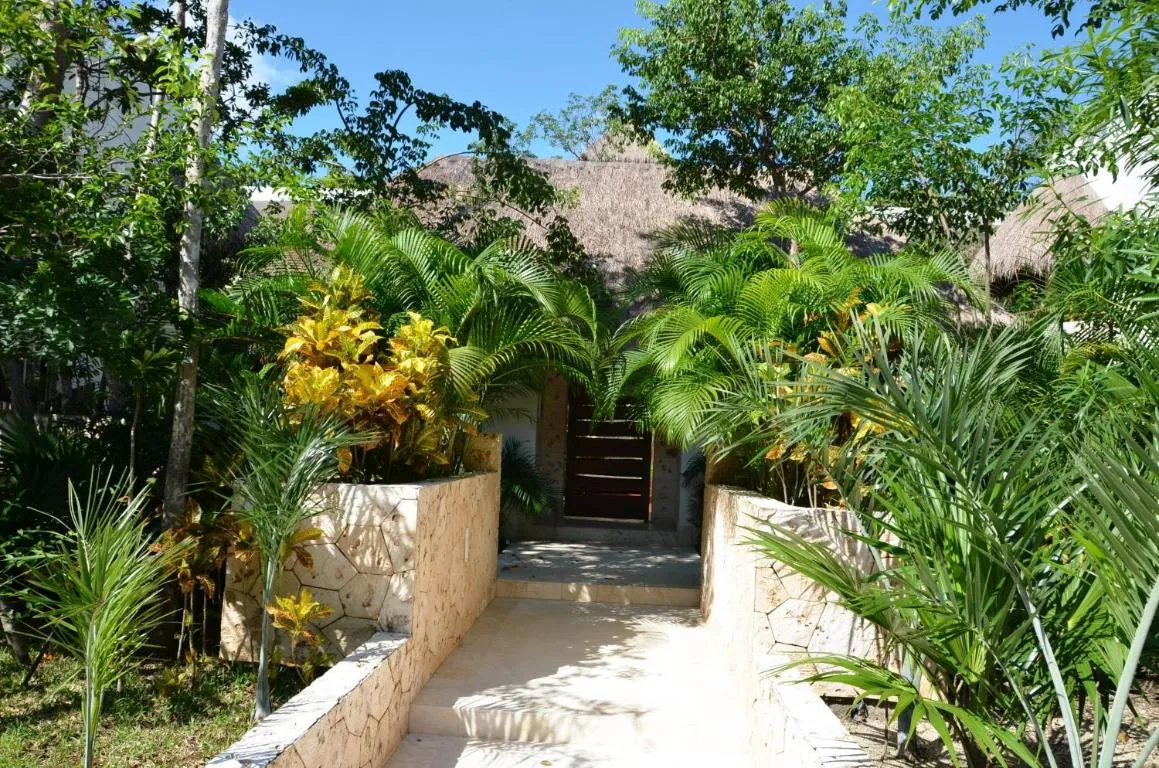 Image of Stay in Tulum!