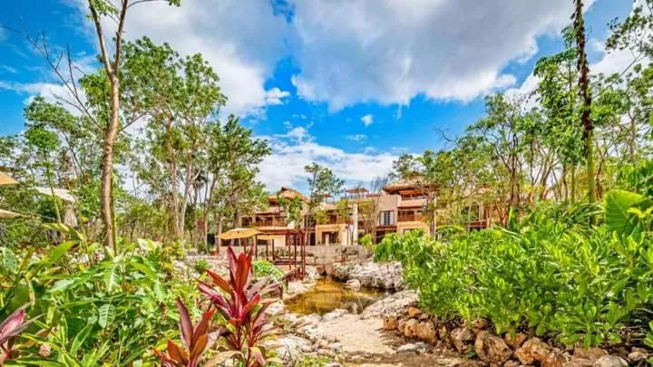 Image of Studio avec piscines et cenotes naturelles