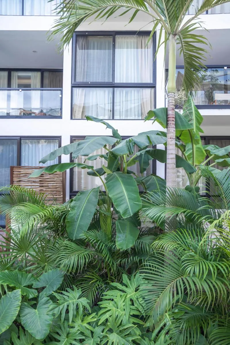Image 6 of The Waves Tulum Intimate studio apartment with private plunge pool