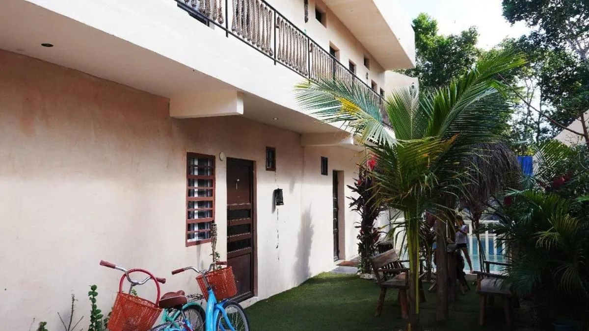 Image 4 of TulummiLucha