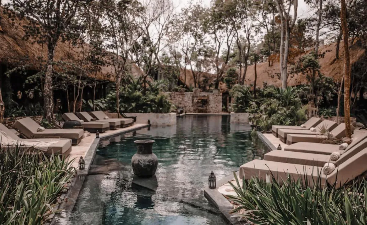 Image 5 of Vida Jungle Apart 1 with special fee to access Hotel Bardo