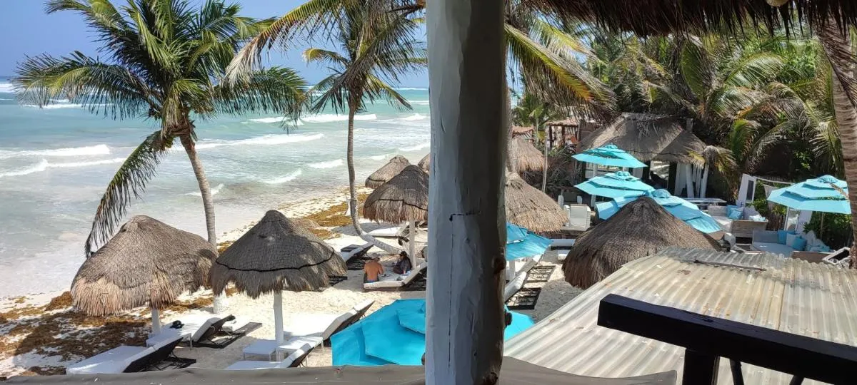 Image 6 of Villa Las Estrellas Tulum – located at the party zone