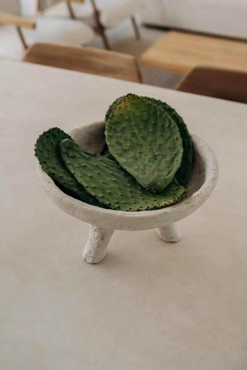 Image 6 of Villa Lev – Celebrated Architectural Designer Villa