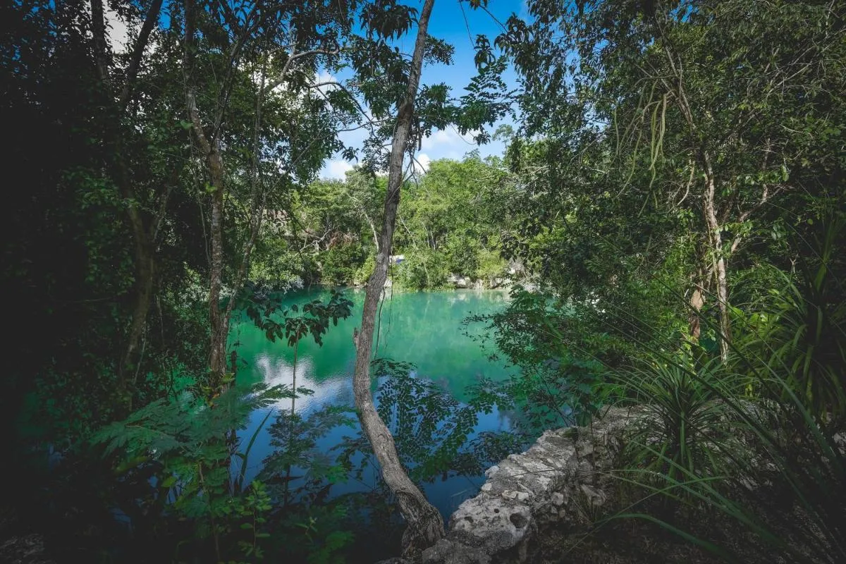 Image 6 of Wakax Hacienda – Cenote & Boutique Hotel