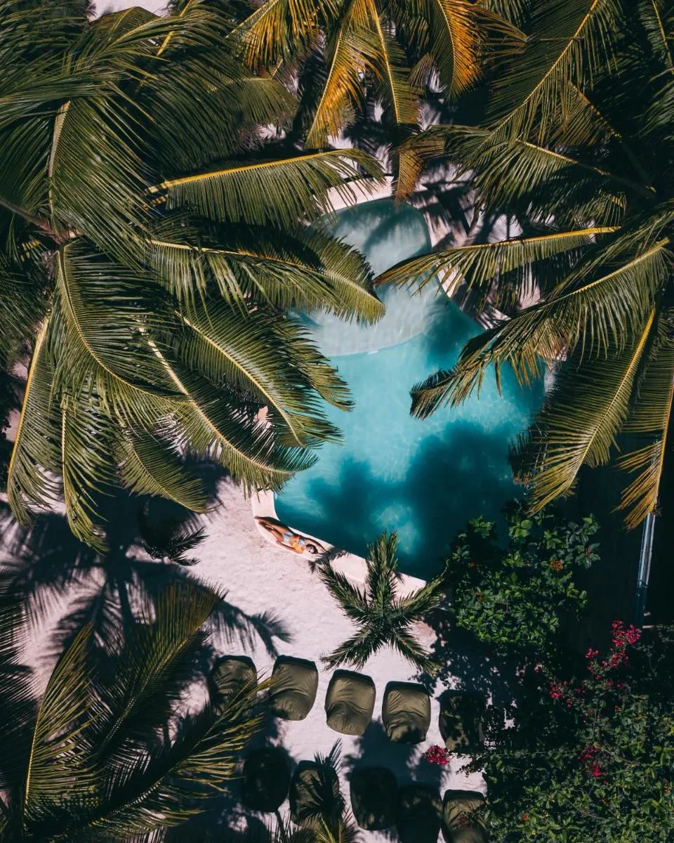 Image 3 of Zorba Tulum Beach Homes
