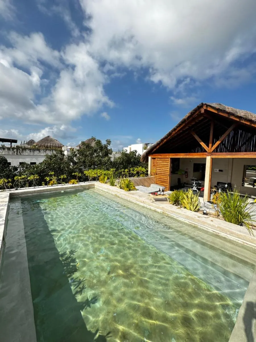 Image 2 of ºSelva Místicaº Estela New Cozy Apartment SkyPool 1 BDR and 2 Bikes Free Rental