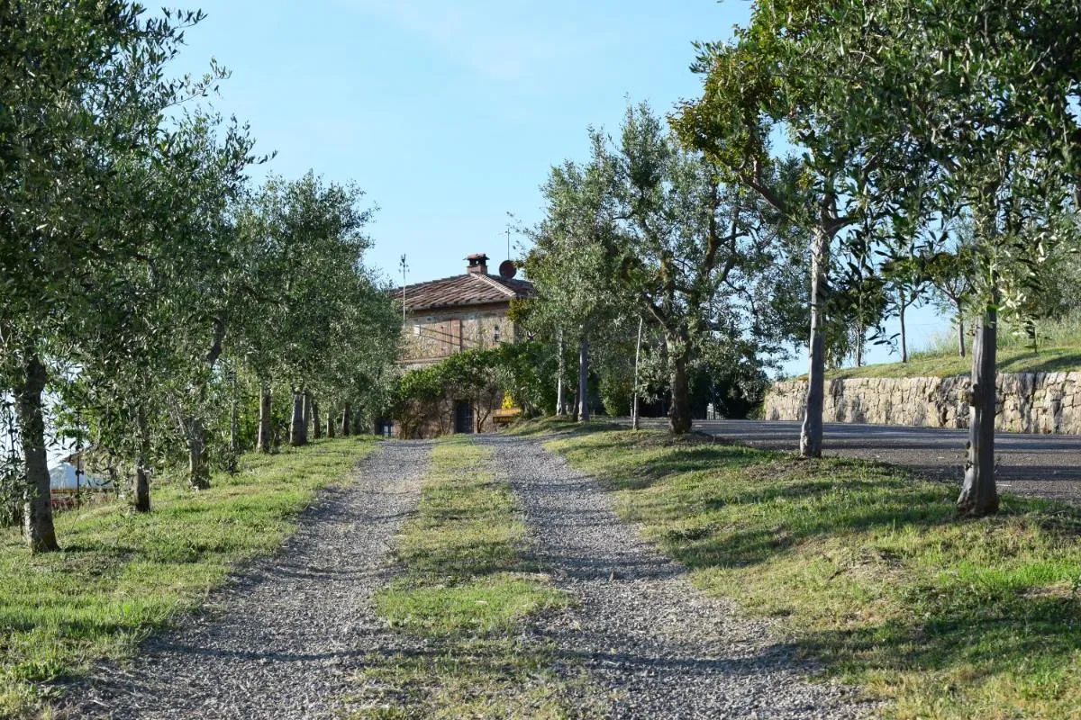 Image 3 of Agriturismo Amina, Winery & Hiking