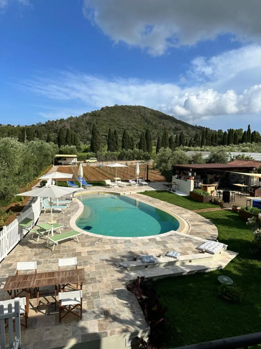 Image 3 of Agriturismo Montefabbrello