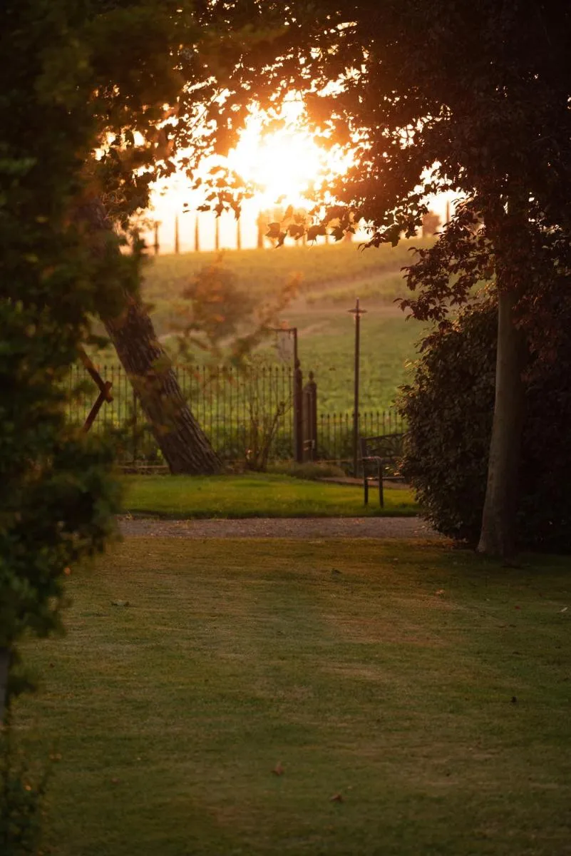 Image 4 of Agriturismo Podere La Rocca