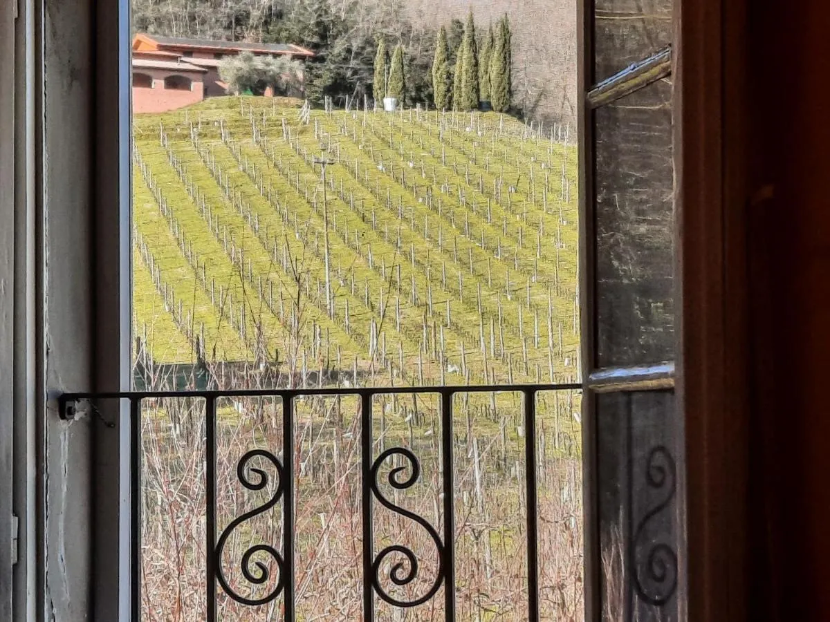 Image 5 of Agriturismo Tenuta Adamo