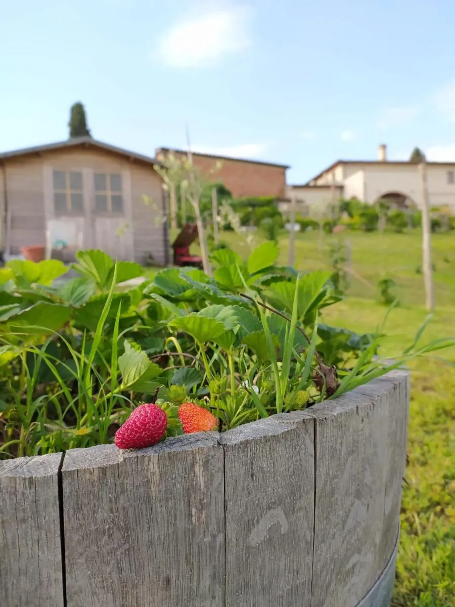 Image 6 of Agriturismo Villa Adimari