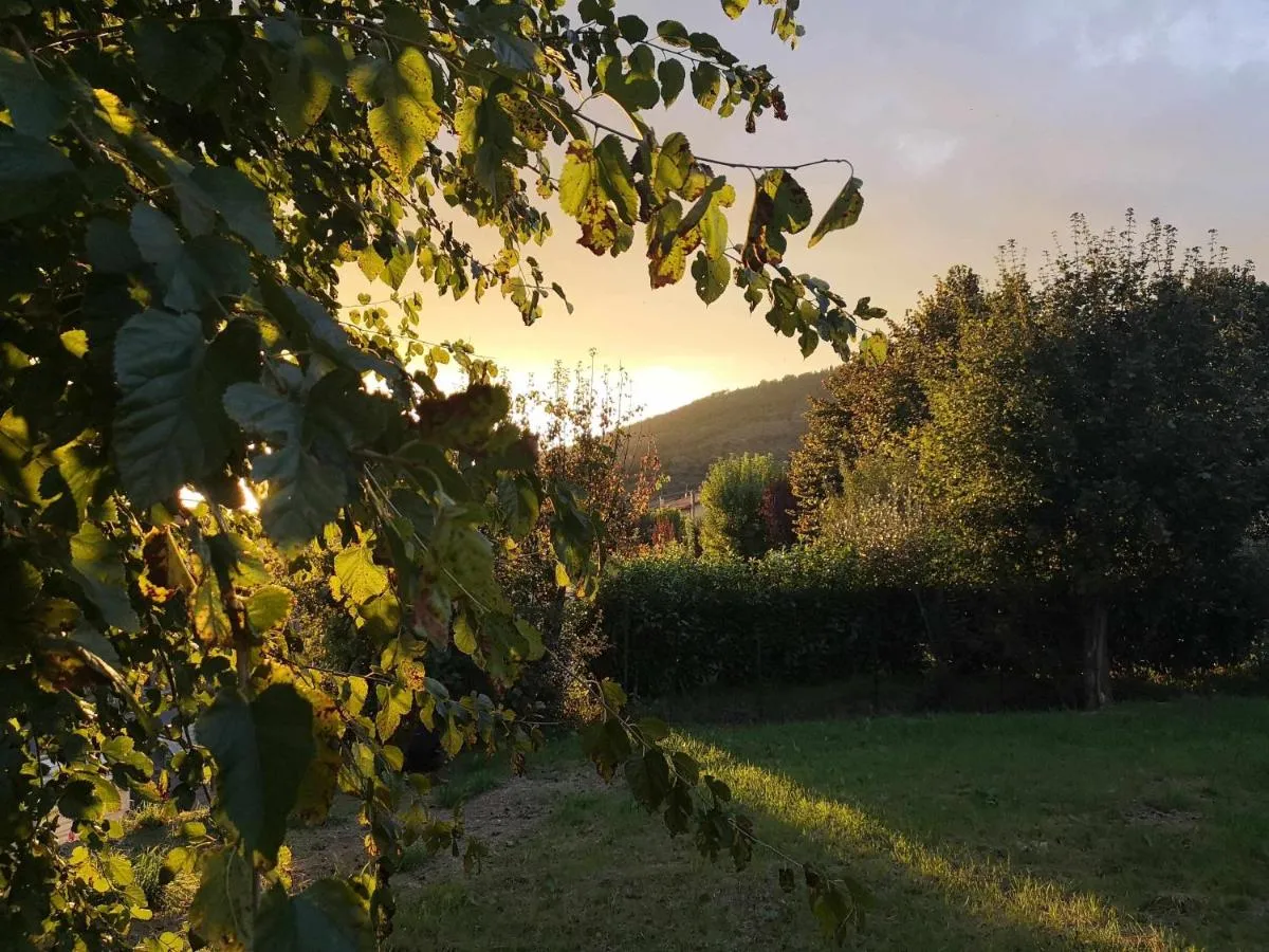 Image 1 of Alba Morus Bed e Breakfast sentiti a casa nel cuore della Toscana