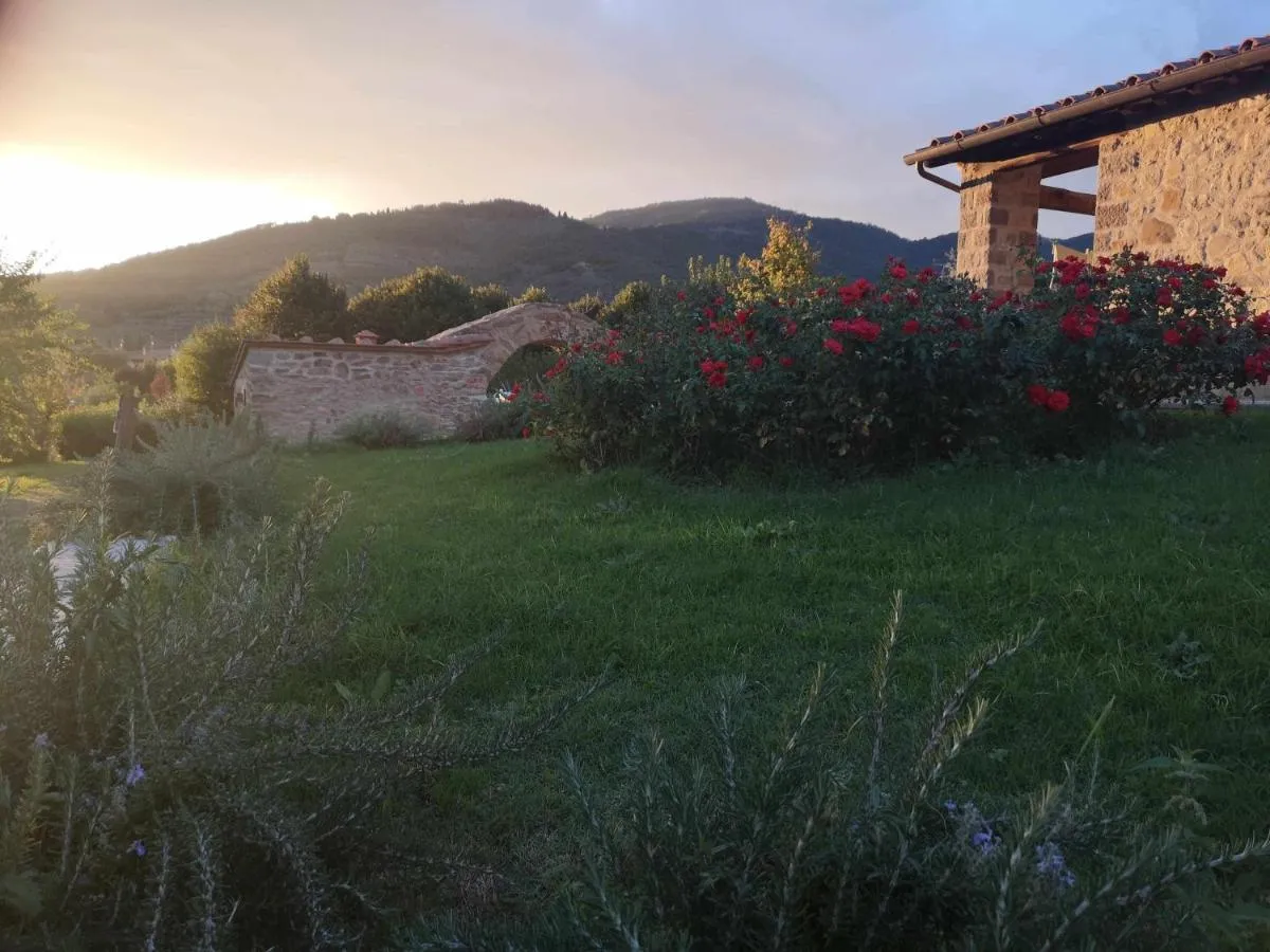 Image 2 of Alba Morus Bed e Breakfast sentiti a casa nel cuore della Toscana
