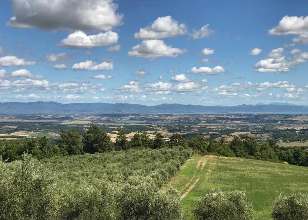 Image 3 of Borgo Poggio Bianco