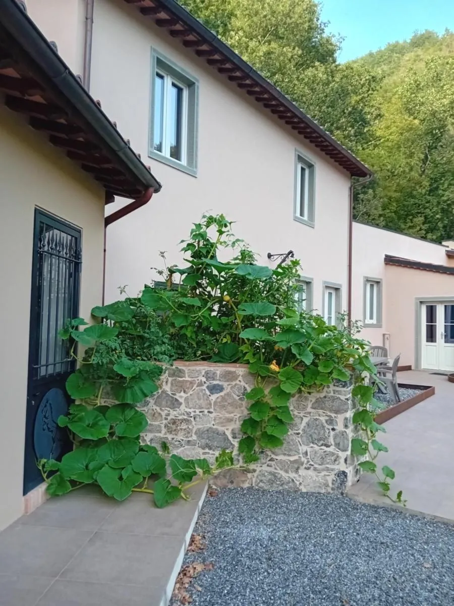 Image 2 of Casa vacanze Raggio di Sole