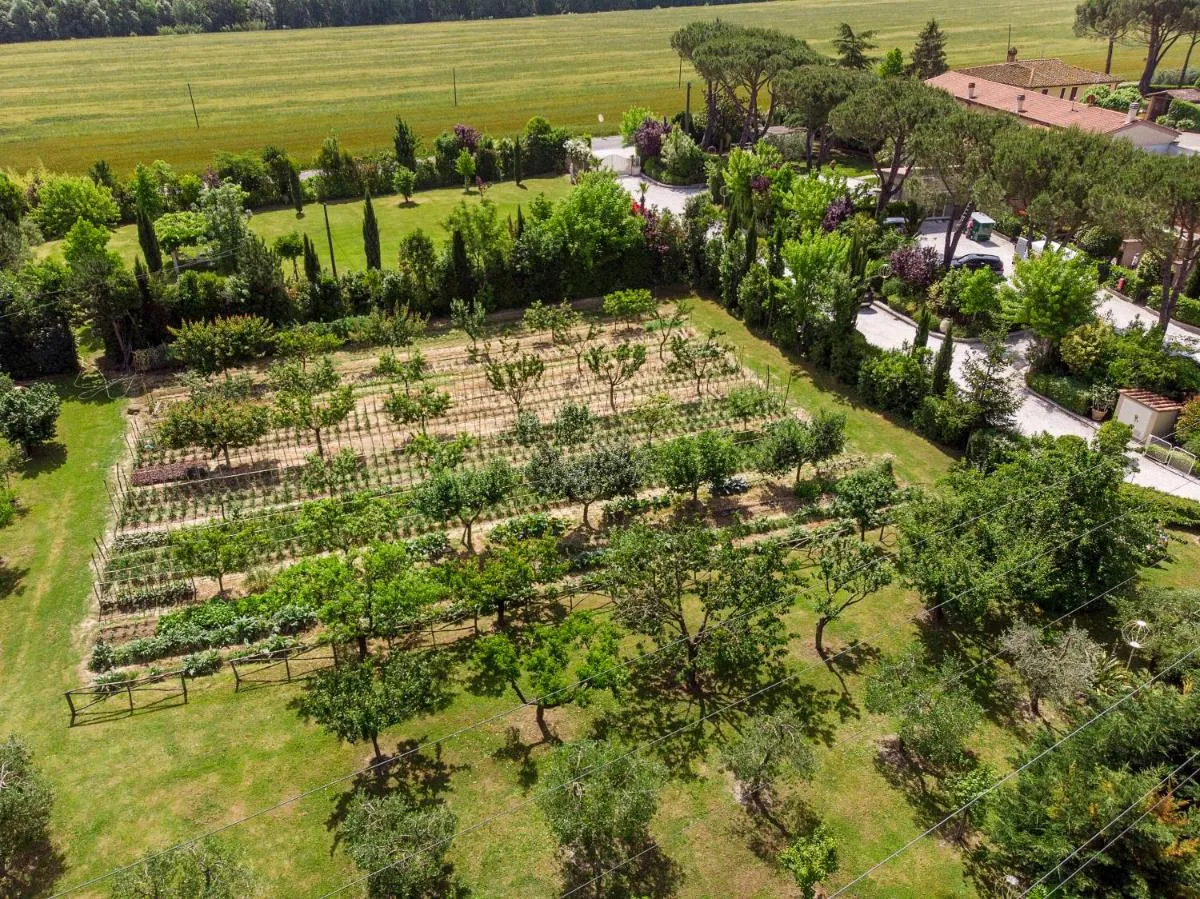 Image 5 of Cevoli Country Resort