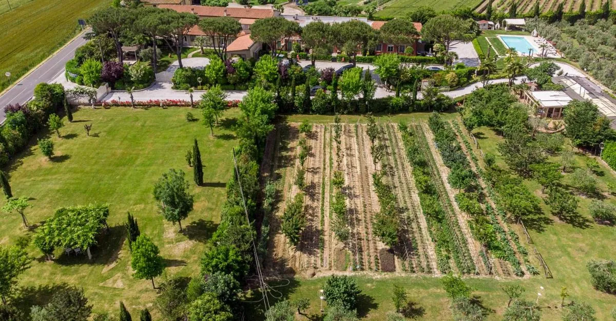Image 6 of Cevoli Country Resort