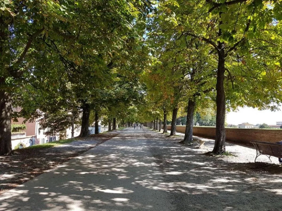Image 1 of CozyBricks in Lucca – Apartments in the Historical Center –