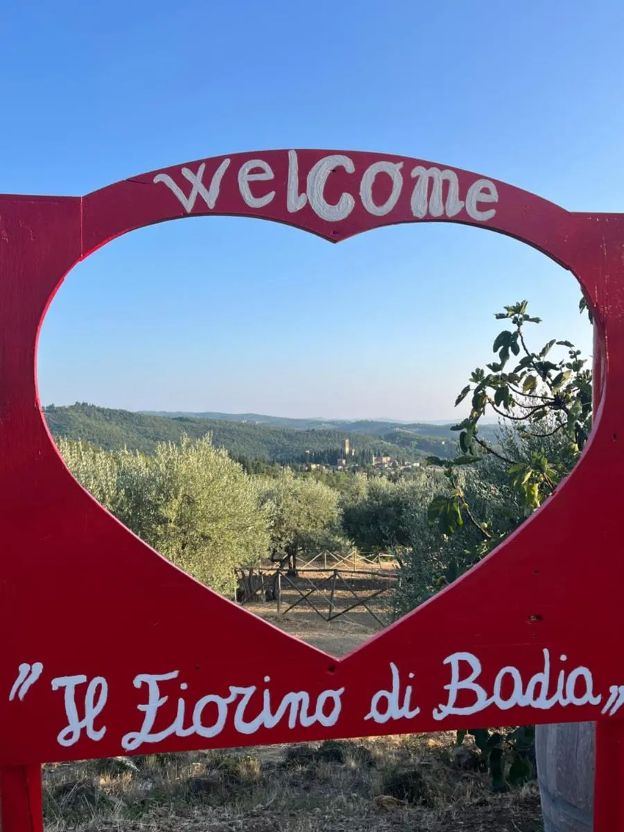 Image 2 of Il Fiorino di Badia