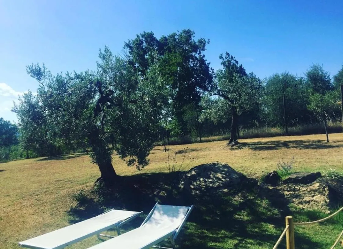 Image 5 of Locanda di Santantimo