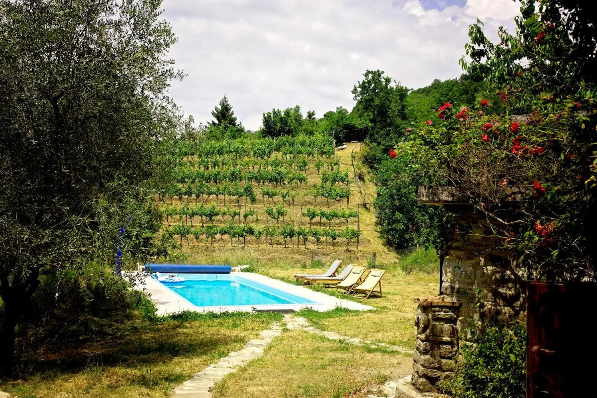 Image 3 of MULINO VECCHIO