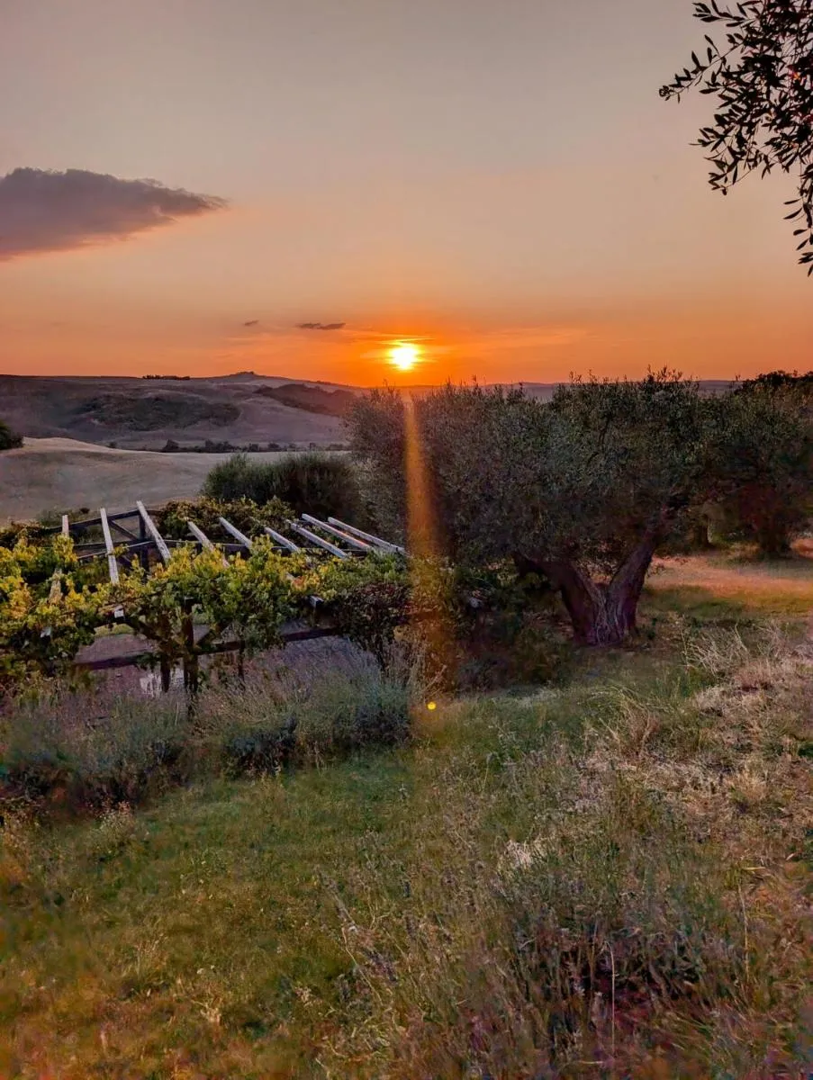Image 3 of Podere Spedalone