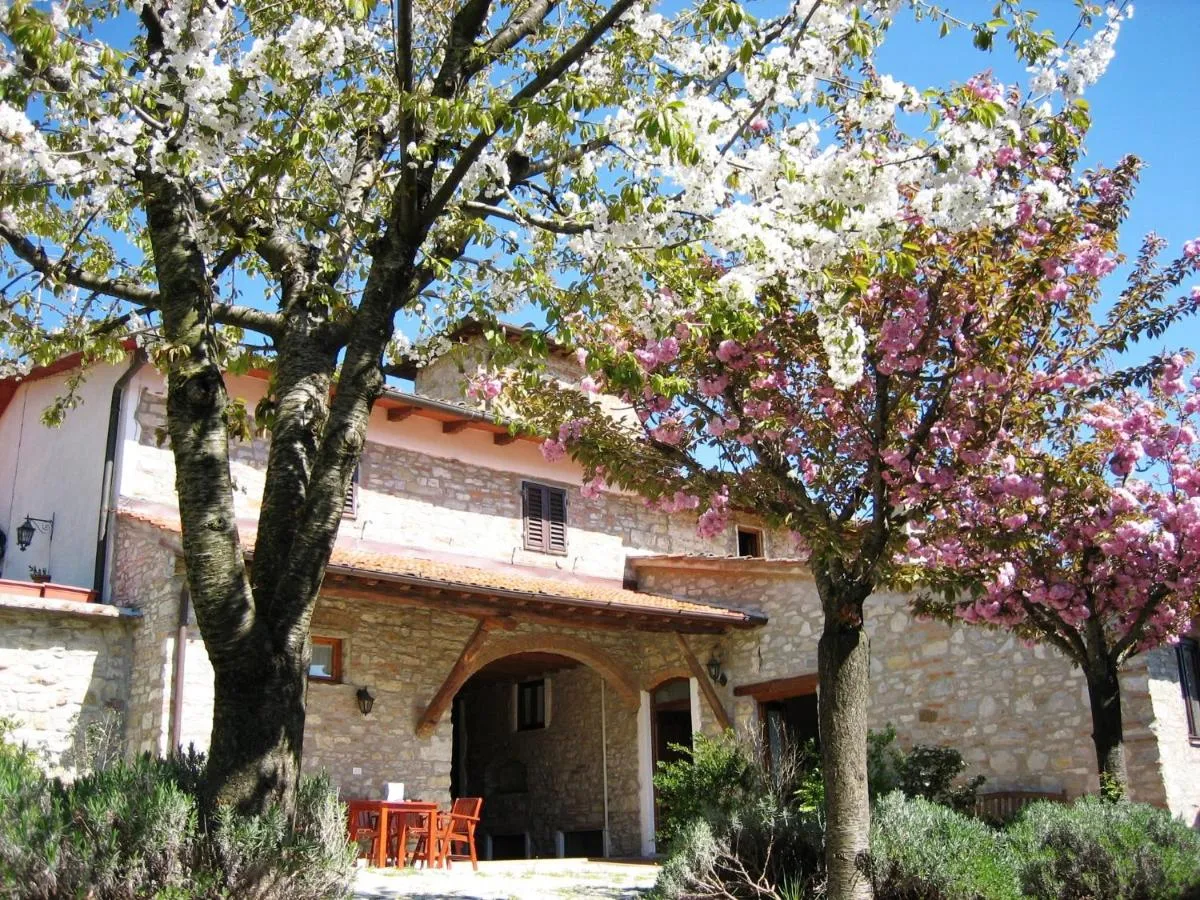 Image 2 of Podere Vignola