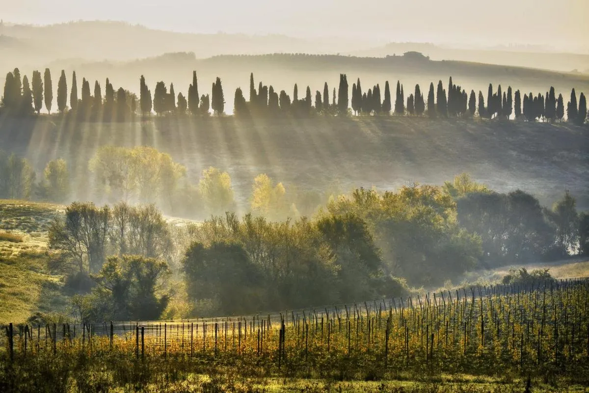 Image 4 of Poggio Baronti B&B