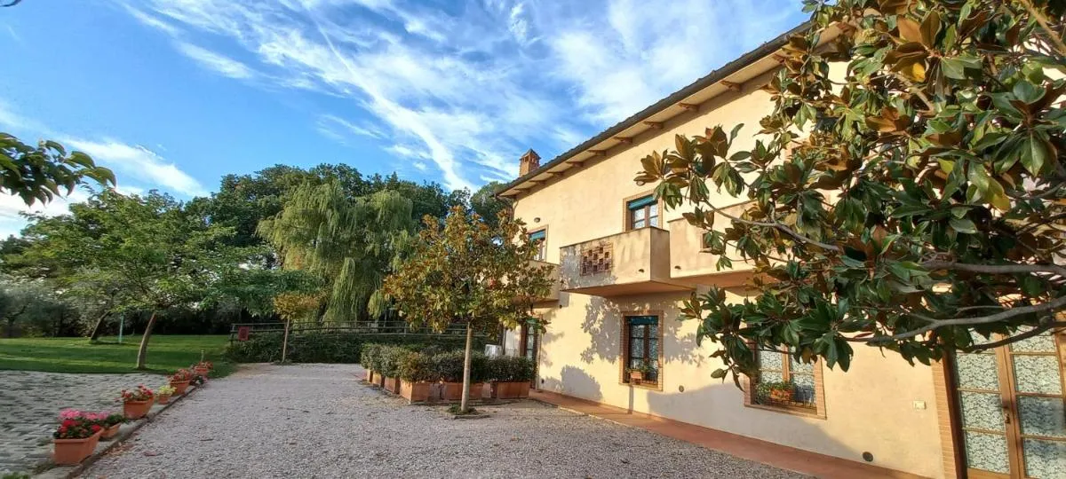 Image 6 of Poggio Olivo