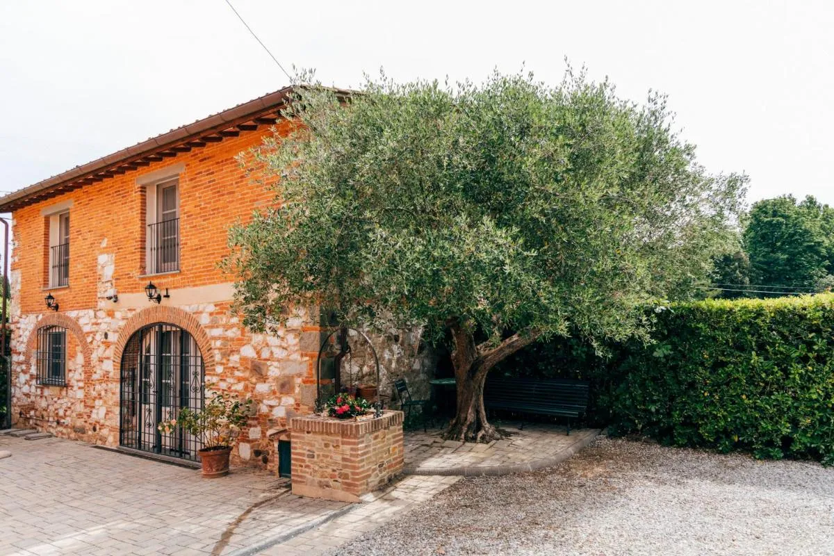 Image 5 of Tenuta San Giovanni Lucca – Borgo del Locumone