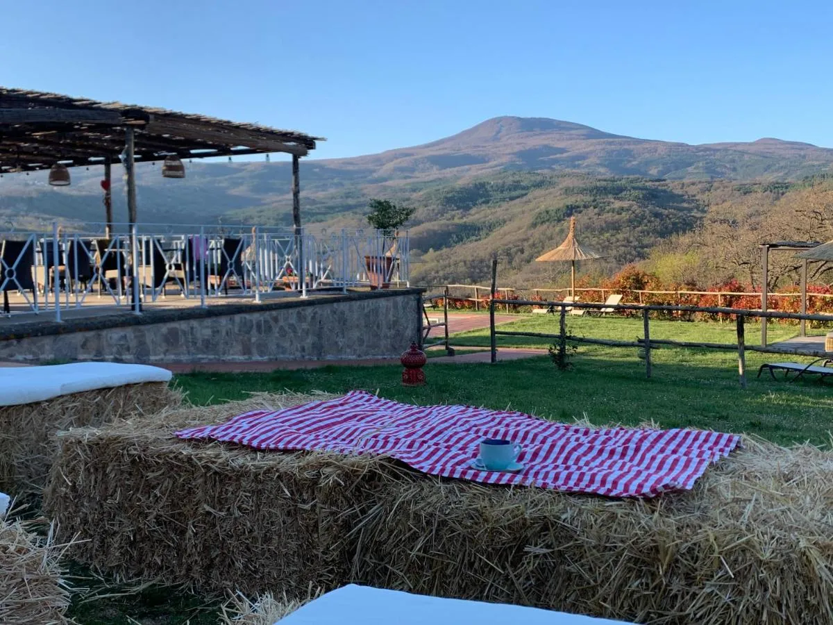 Image 2 of Terre di GIORGIO Agriturismo Villa la Palazzetta