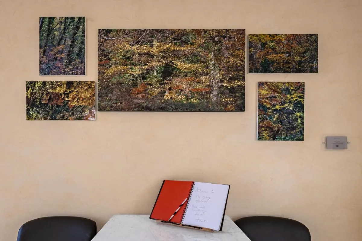 Image 5 of The Art Gallery
