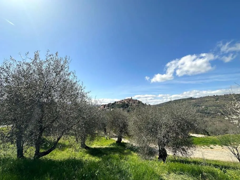Image 3 of Tuscany Panoramic View – Relax in Val D’Orcia