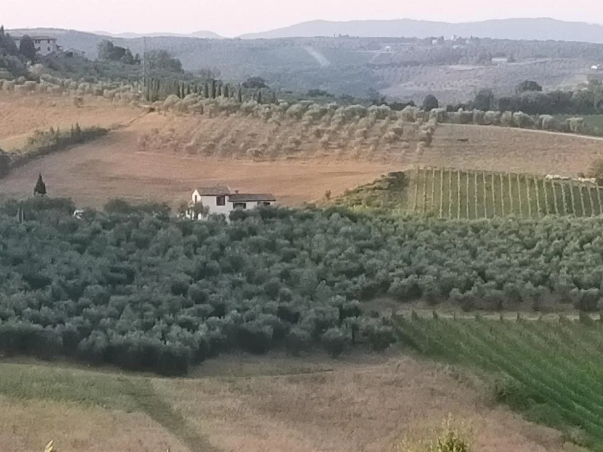 Image 1 of Villa degli olivi Nature