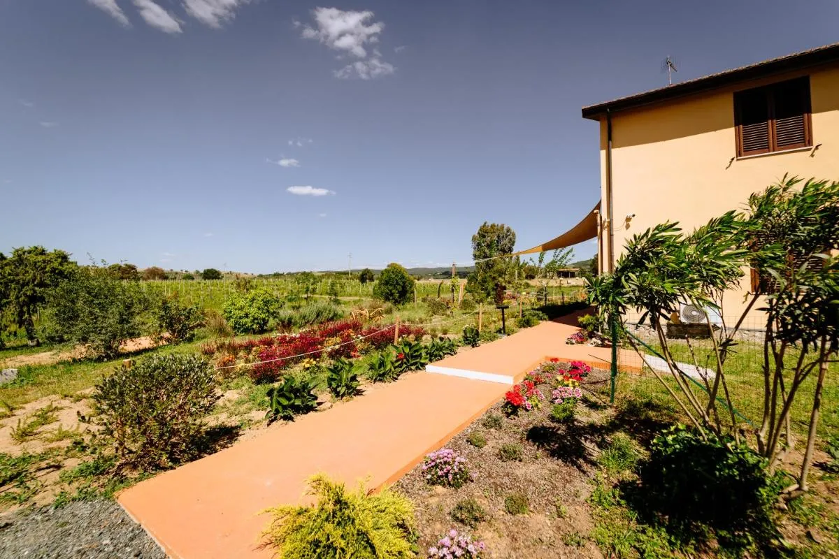 Image 5 of Agriturismo Bio Podere 109 – Wine&Food