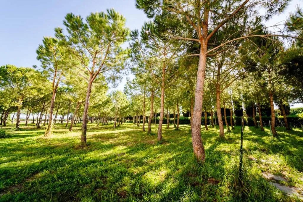 Image of Agriturismo Bio San Mamiliano
