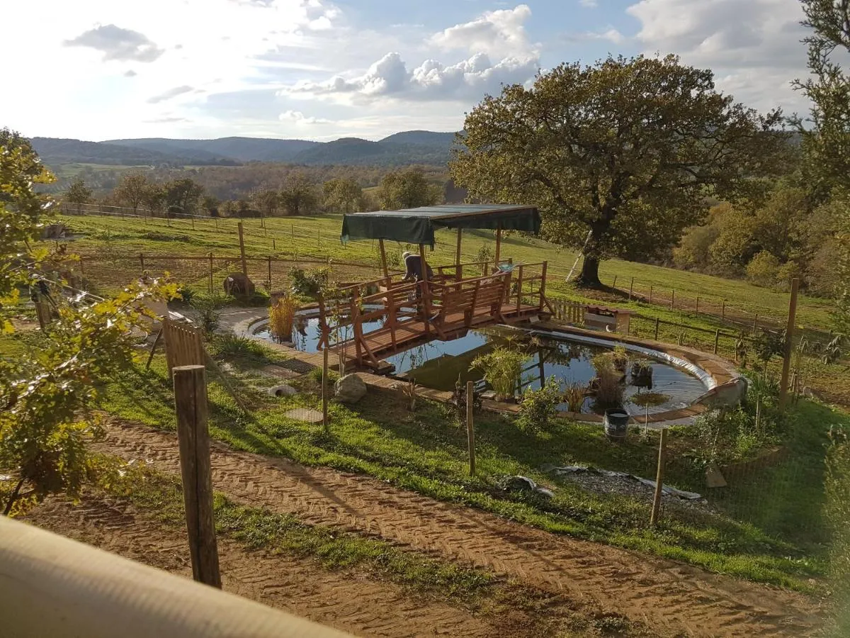 Image 6 of Agriturismo Collelungo di Maremma