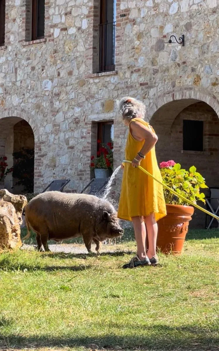 Image 3 of Agriturismo Sole