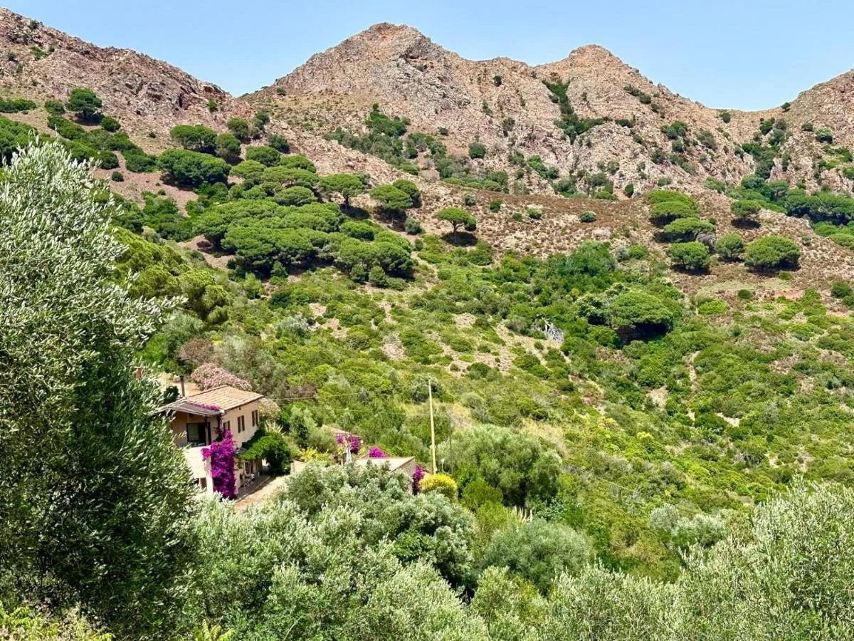 Image 5 of Aria di Collina – Isola d’Elba